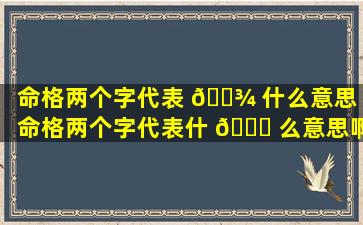 命格两个字代表 🌾 什么意思（命格两个字代表什 🍁 么意思啊）